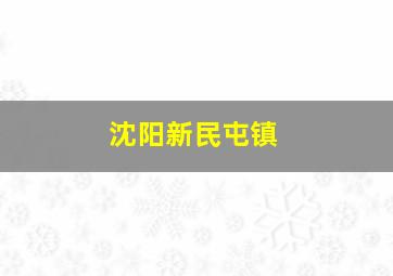 沈阳新民屯镇