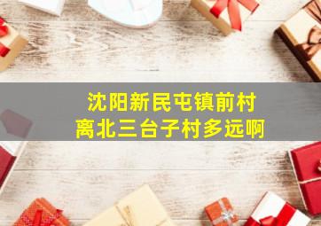 沈阳新民屯镇前村离北三台子村多远啊