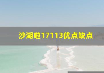 沙湖啦17113优点缺点