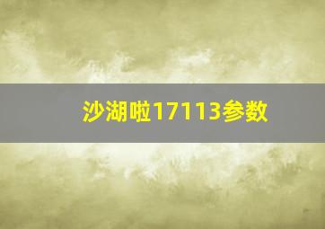 沙湖啦17113参数