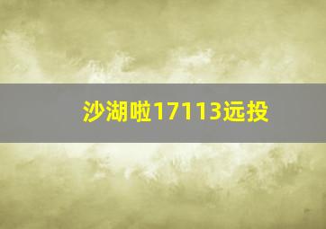 沙湖啦17113远投