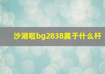 沙湖啦bg2838属于什么杆