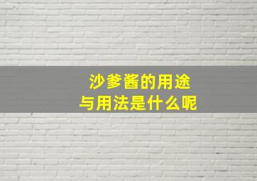 沙爹酱的用途与用法是什么呢