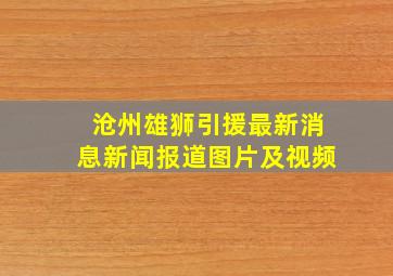 沧州雄狮引援最新消息新闻报道图片及视频