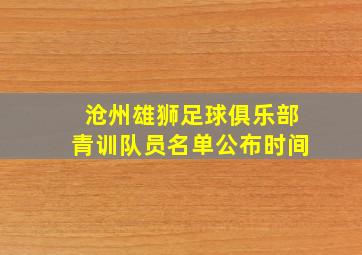 沧州雄狮足球俱乐部青训队员名单公布时间