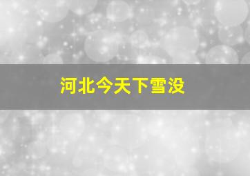 河北今天下雪没