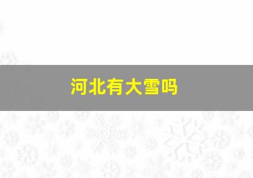 河北有大雪吗