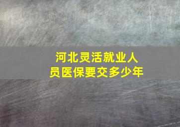 河北灵活就业人员医保要交多少年