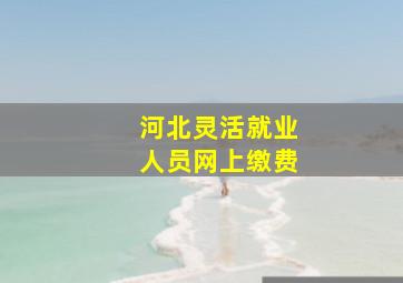 河北灵活就业人员网上缴费