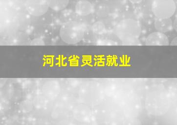 河北省灵活就业