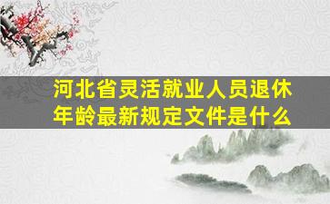 河北省灵活就业人员退休年龄最新规定文件是什么