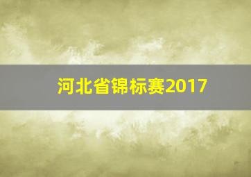 河北省锦标赛2017