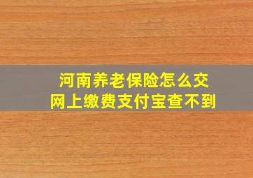 河南养老保险怎么交网上缴费支付宝查不到