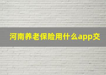 河南养老保险用什么app交