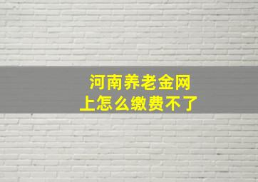 河南养老金网上怎么缴费不了