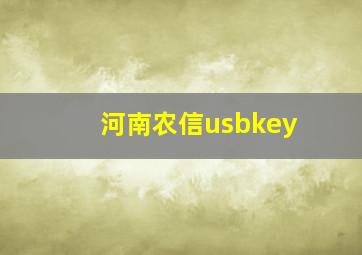 河南农信usbkey