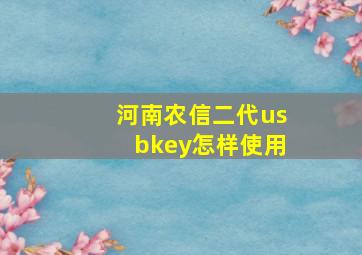 河南农信二代usbkey怎样使用