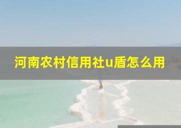 河南农村信用社u盾怎么用