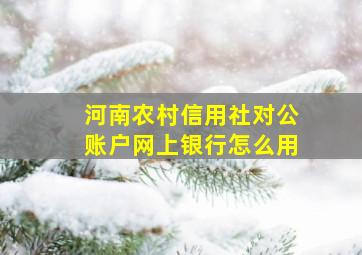 河南农村信用社对公账户网上银行怎么用