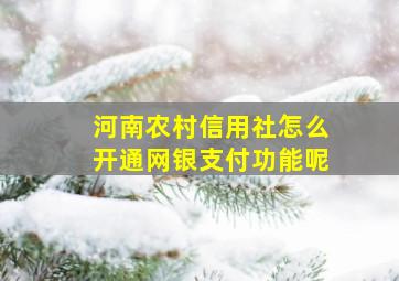 河南农村信用社怎么开通网银支付功能呢