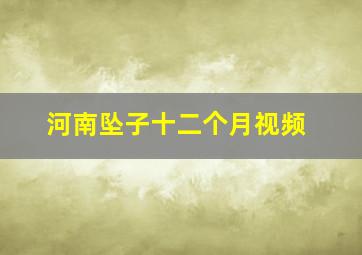 河南坠子十二个月视频