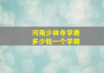 河南少林寺学费多少钱一个学期