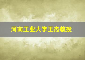 河南工业大学王杰教授