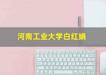 河南工业大学白红娟