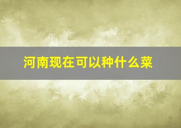 河南现在可以种什么菜