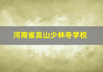 河南省嵩山少林寺学校