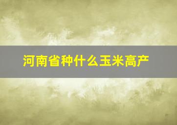 河南省种什么玉米高产