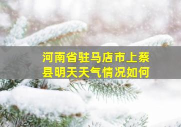 河南省驻马店市上蔡县明天天气情况如何