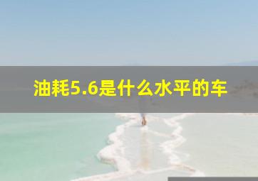 油耗5.6是什么水平的车