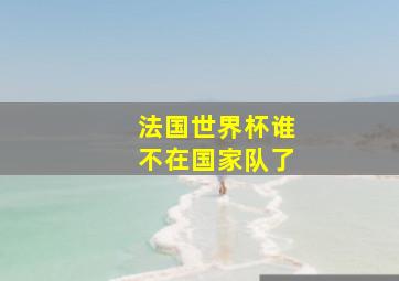 法国世界杯谁不在国家队了