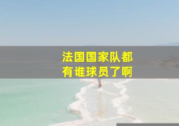 法国国家队都有谁球员了啊