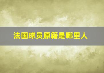 法国球员原籍是哪里人