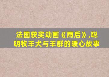 法国获奖动画《雨后》,聪明牧羊犬与羊群的暖心故事