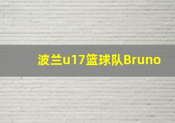 波兰u17篮球队Bruno