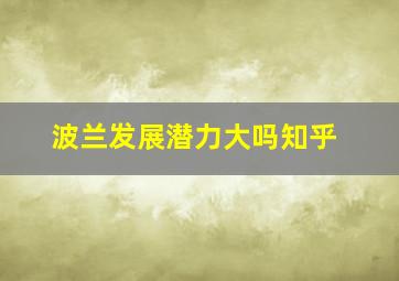 波兰发展潜力大吗知乎