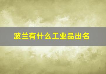 波兰有什么工业品出名