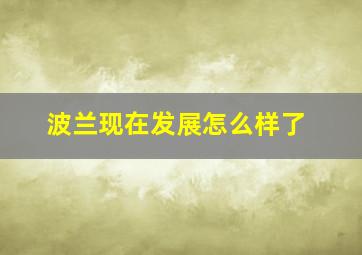 波兰现在发展怎么样了