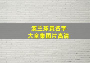 波兰球员名字大全集图片高清