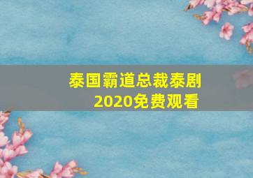 泰国霸道总裁泰剧2020免费观看