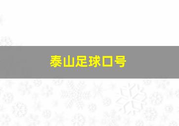 泰山足球口号