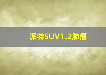 派特SUV1.2肺癌