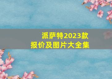 派萨特2023款报价及图片大全集