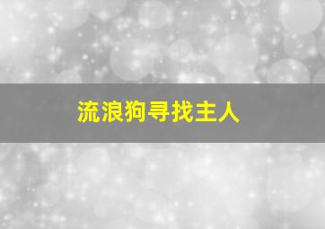 流浪狗寻找主人