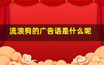 流浪狗的广告语是什么呢