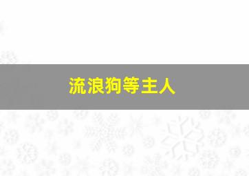 流浪狗等主人