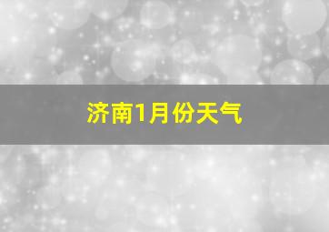 济南1月份天气